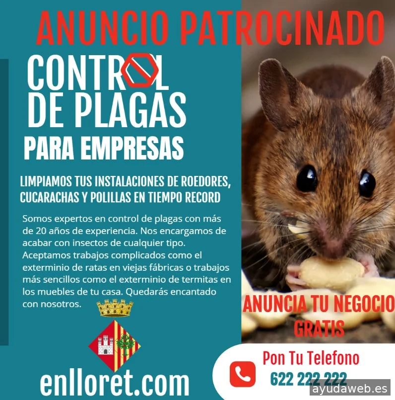 Marketing y SEO local enlloret.com