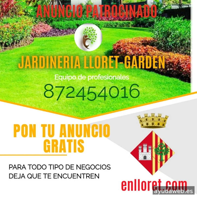 Marketing y SEO local enlloret.com