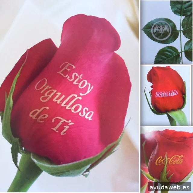 Dpuntos - Regalo Promocional, Regalos de empresa y Merchandising