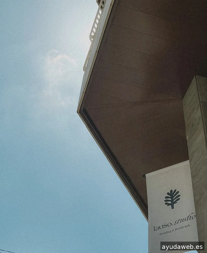 Lauso.studio | Branding