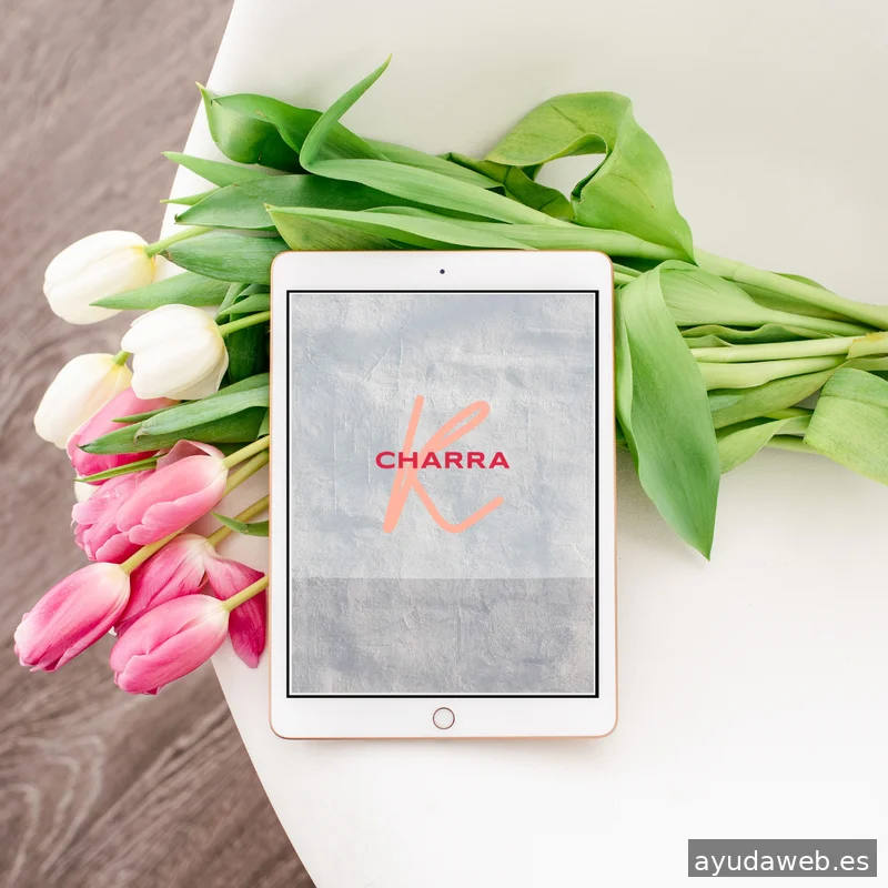 Kcharra Marketing Digital - Teresa Charro