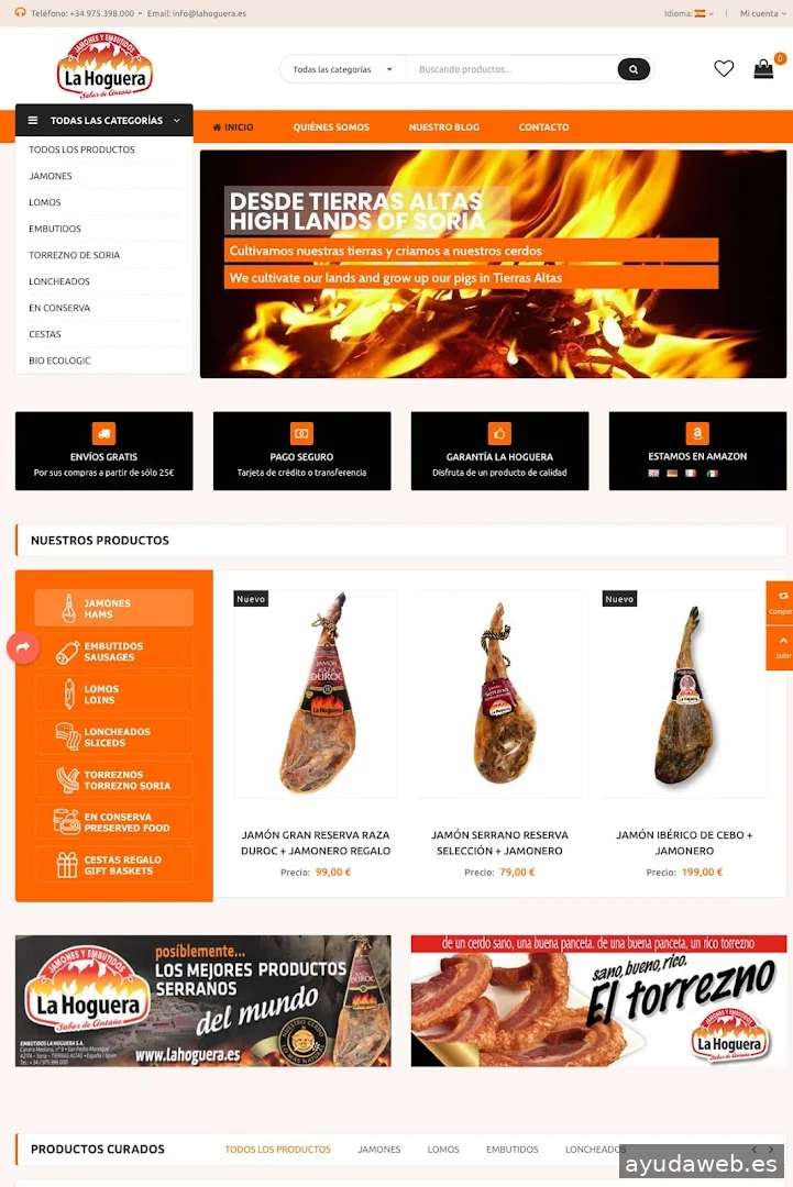 GESDINET DISEÑO WEB