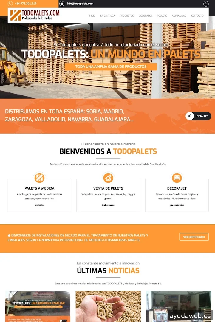 GESDINET DISEÑO WEB
