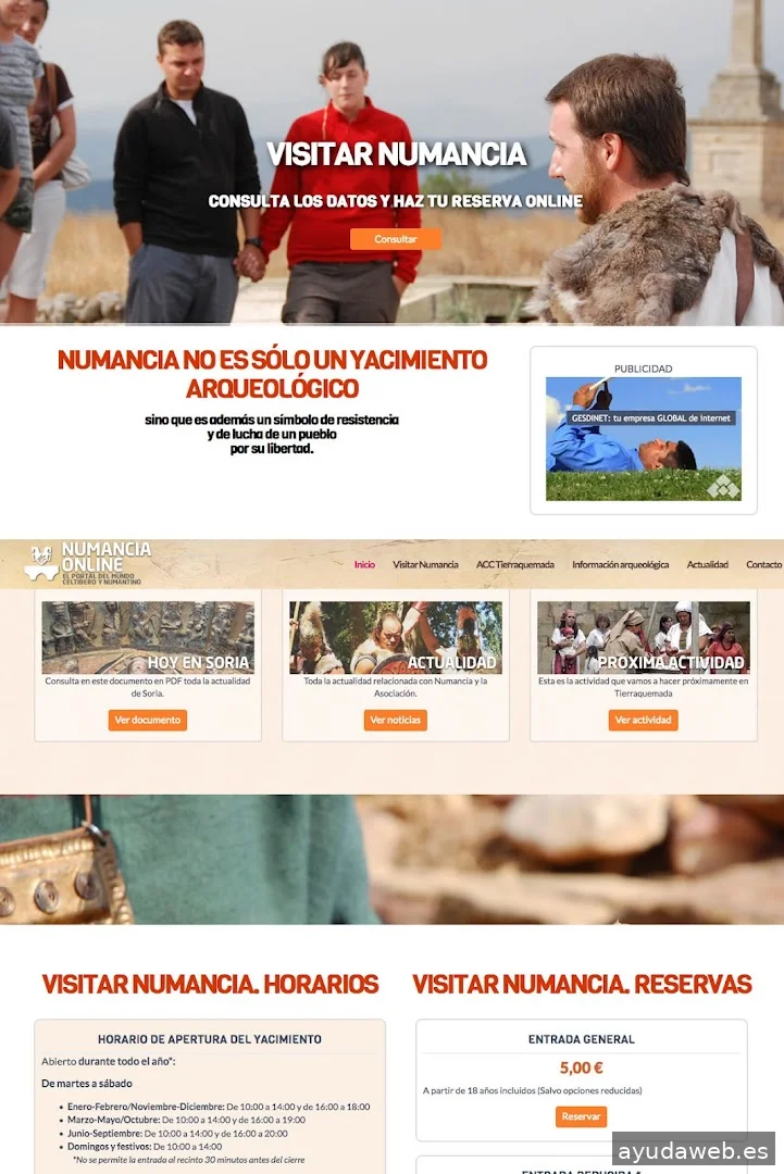 GESDINET DISEÑO WEB