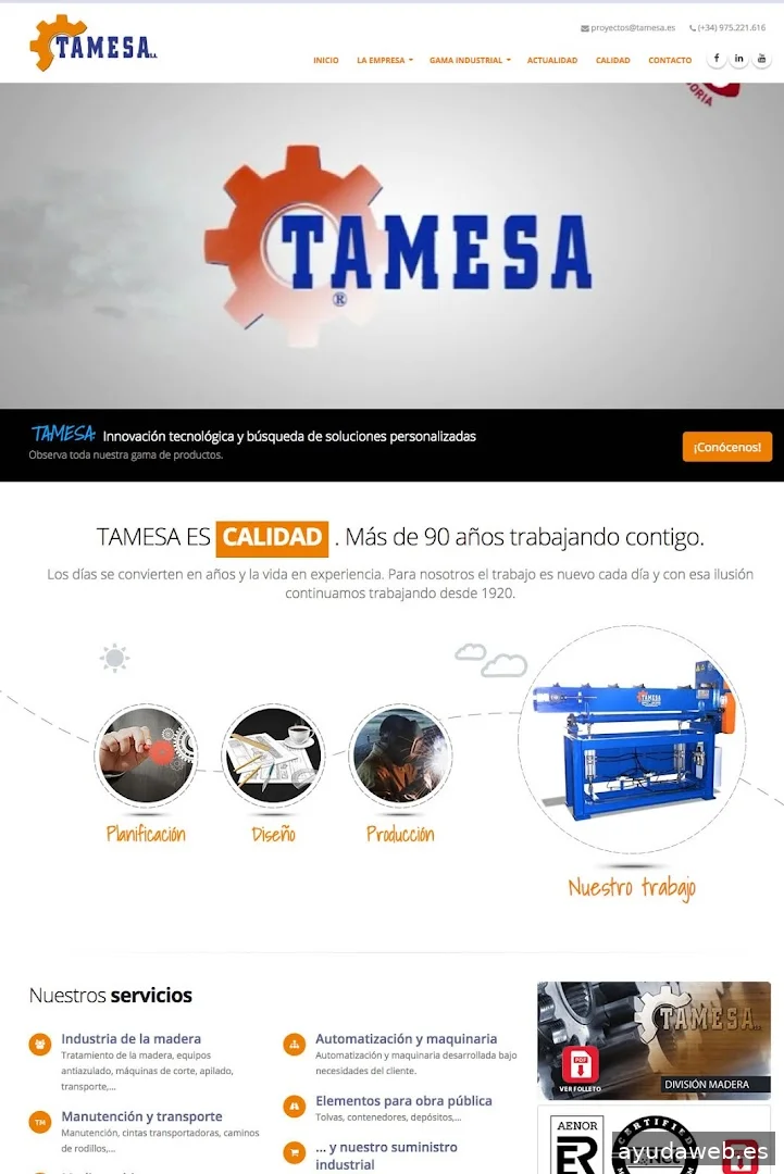 GESDINET DISEÑO WEB