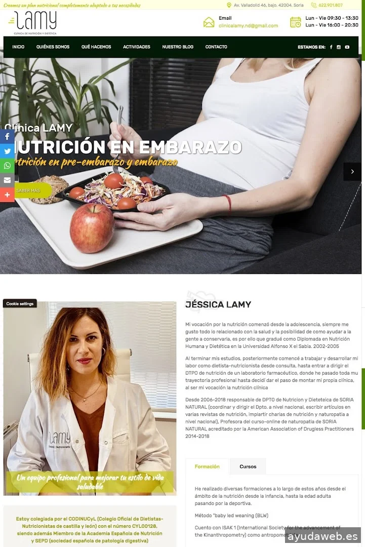 GESDINET DISEÑO WEB