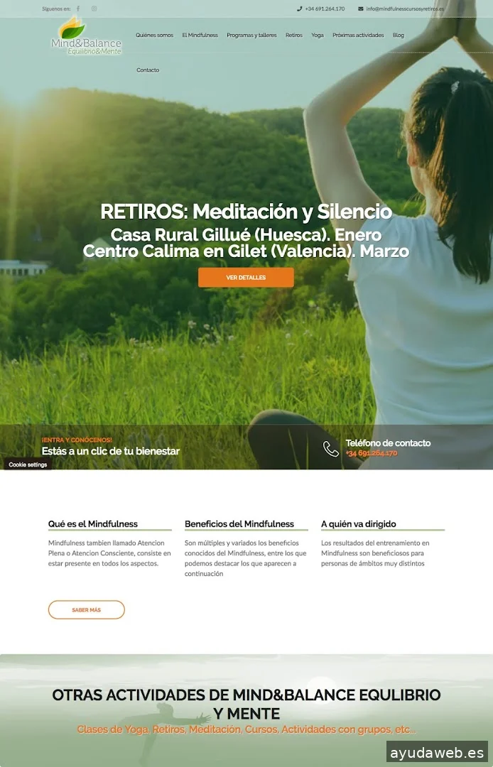 GESDINET DISEÑO WEB