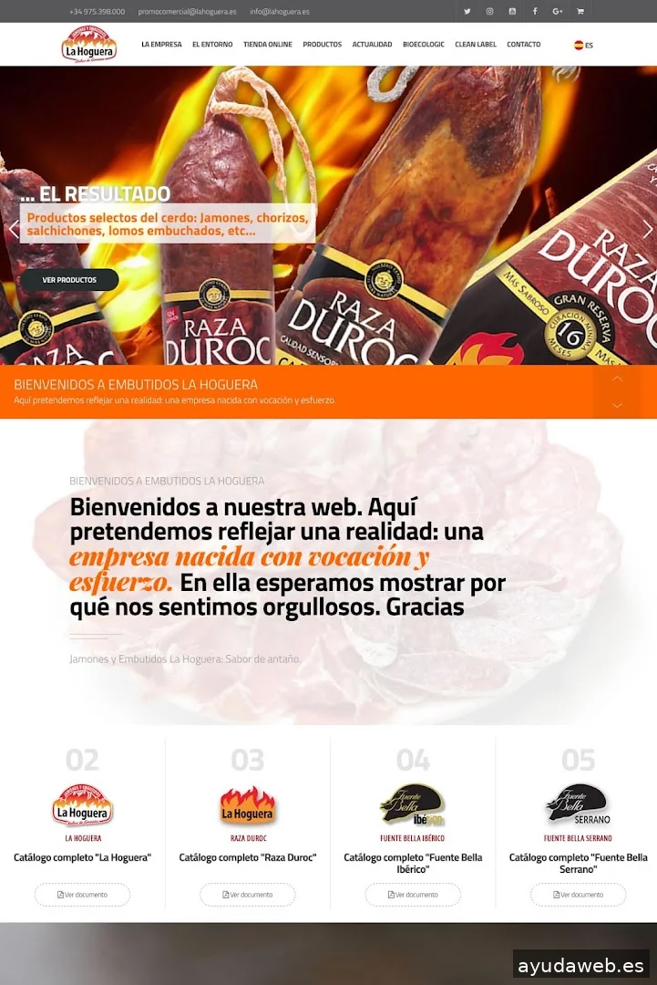 GESDINET DISEÑO WEB