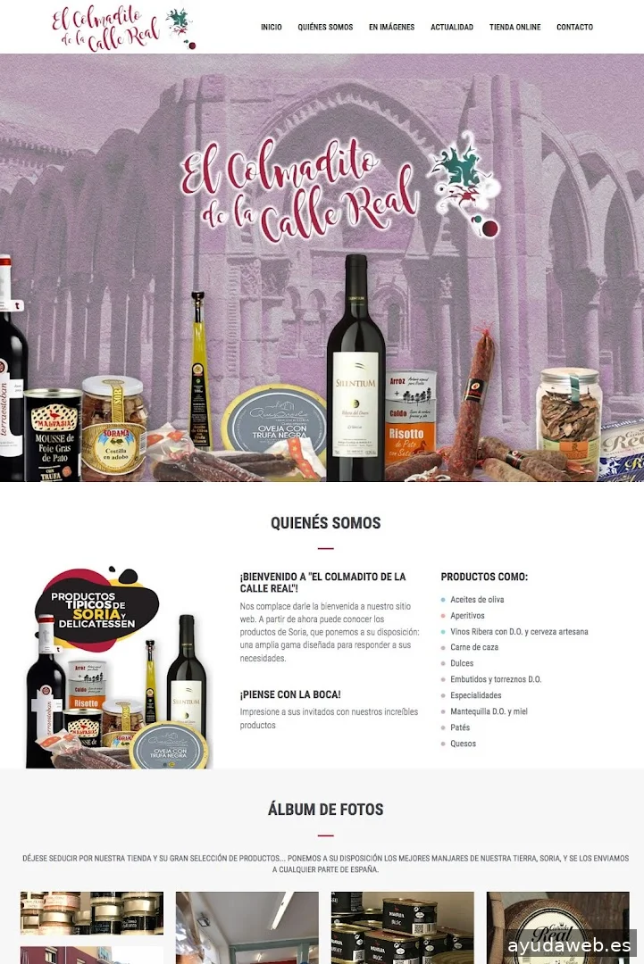 GESDINET DISEÑO WEB