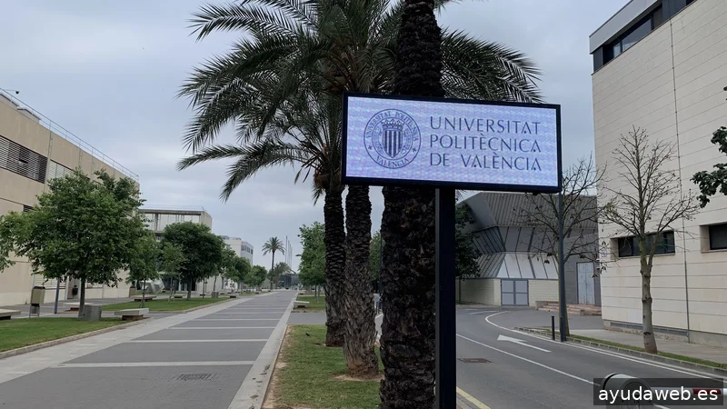 Consultor SEO Javier Carmona Benítez