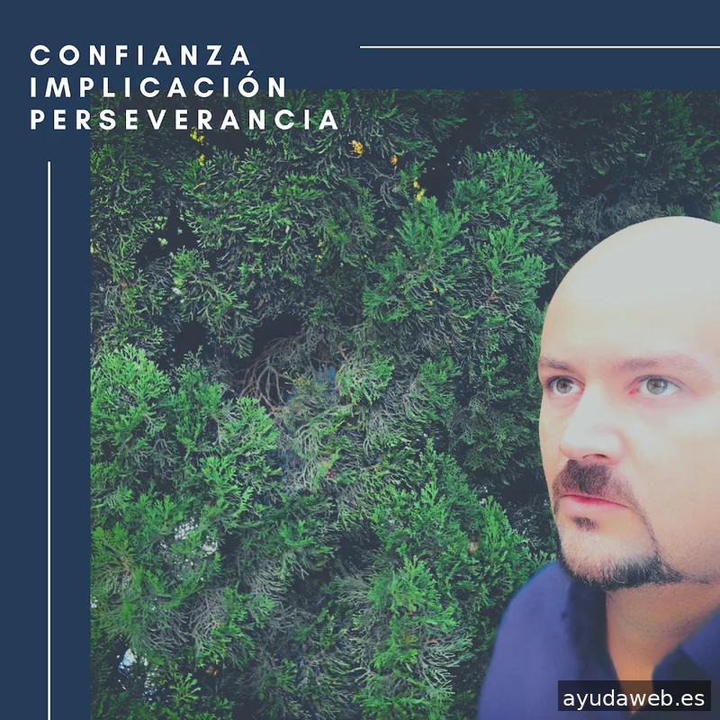 Consultor SEO Javier Carmona Benítez