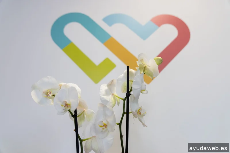 La Teva Web - Diseño Web, SEO y SEM