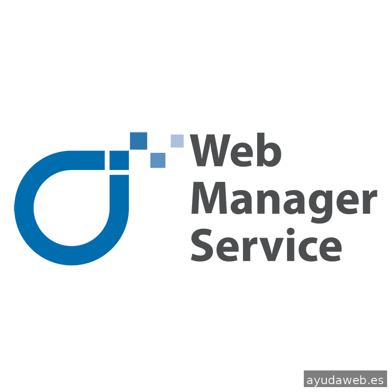 Web manager service S.L.