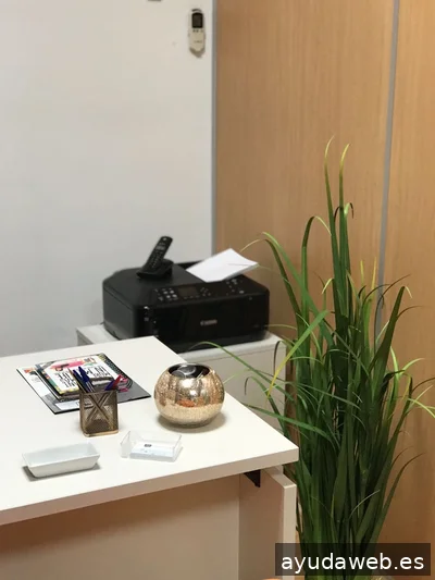 Traducción y comunicación | Bursay Agency