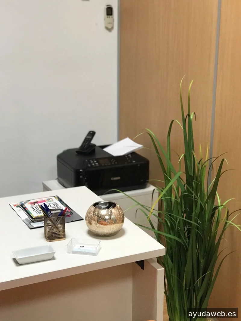Traducción y comunicación | Bursay Agency