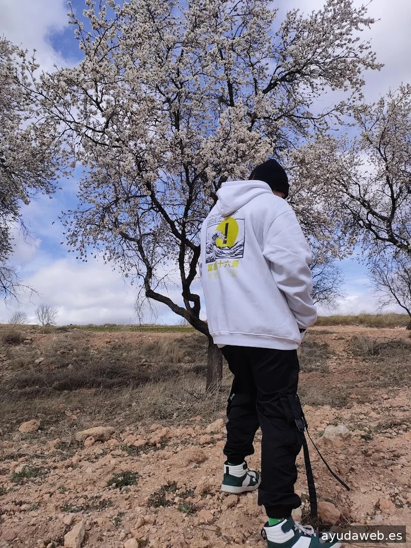 Estampaciones Publicitarias Ilicitanas S.l.