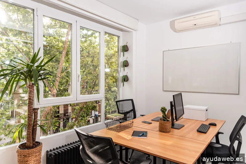 Local Max - Agencia SEO Madrid