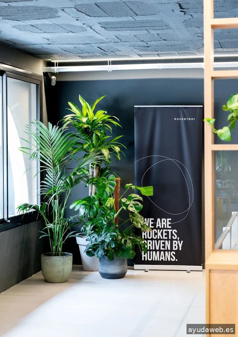 Rocket Digital