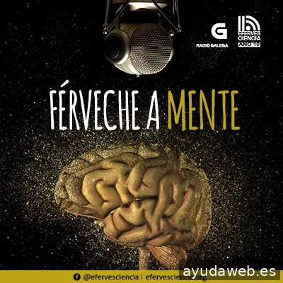 Viradela Comunicación Dixital