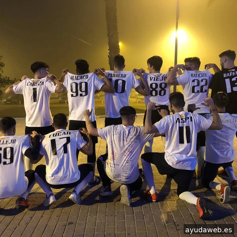 Rótulos Almonte - Rotulación