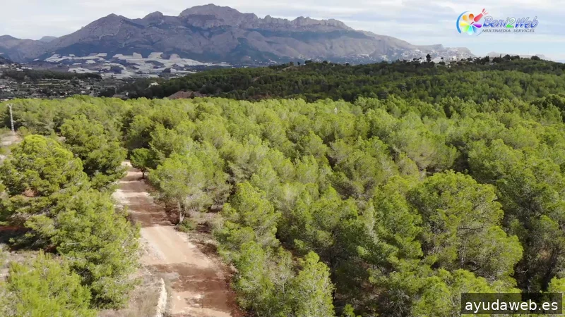 Beni2Web Marketing Digital