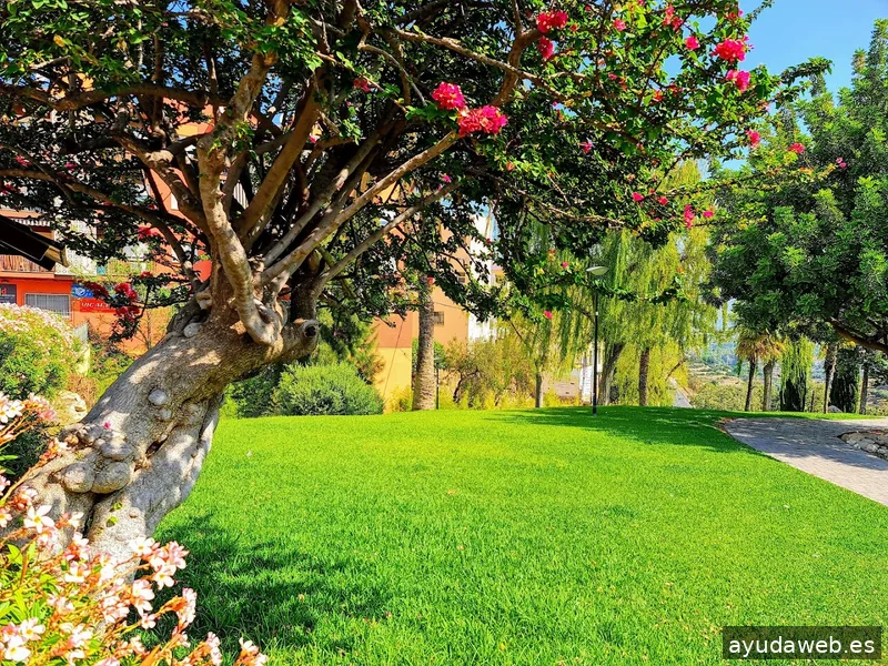 Beni2Web Marketing Digital