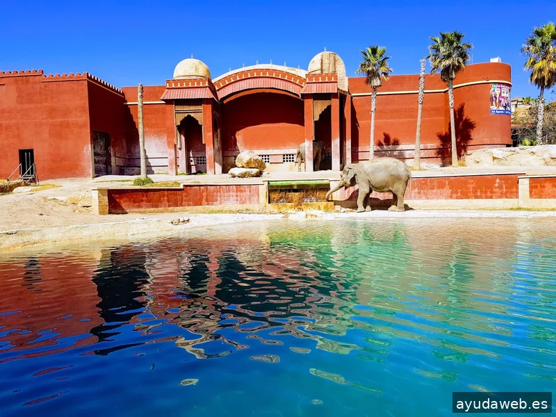 Beni2Web Marketing Digital