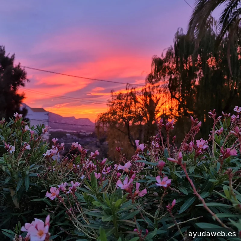 Beni2Web Marketing Digital