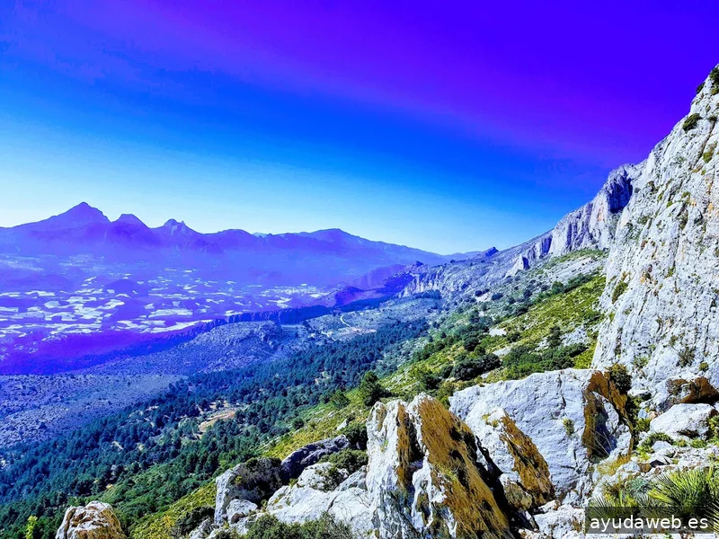 Beni2Web Marketing Digital