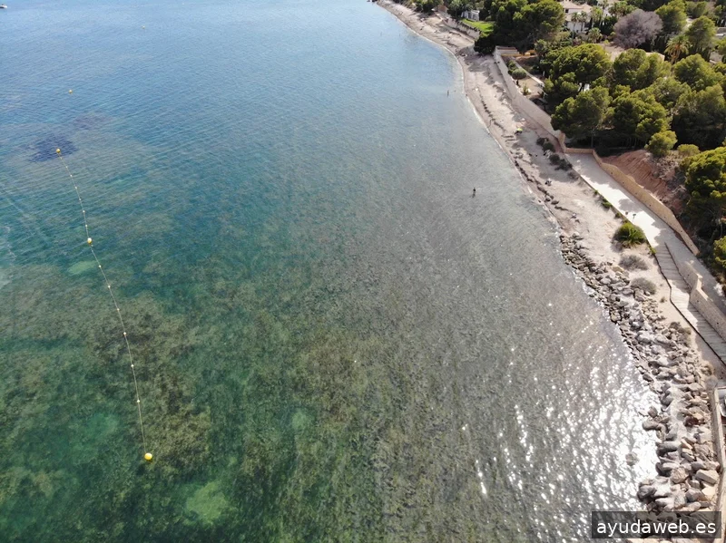 Beni2Web Marketing Digital