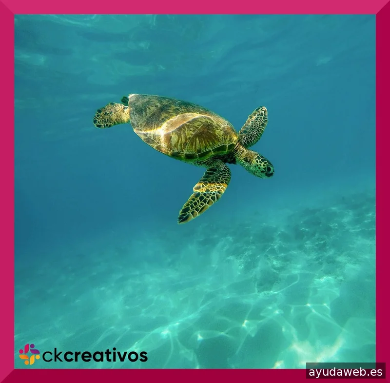 CK Creativos Marketing