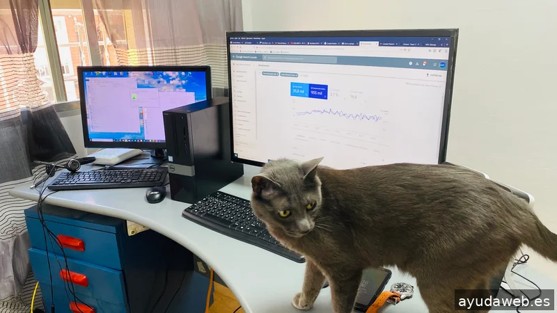 webwork Ecommerce Solutions. programador Experto freelance prestashop