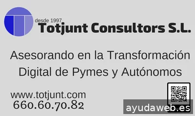 David Serrano anemCastello.es Posicionamiento SEO y diseño web en Castellón