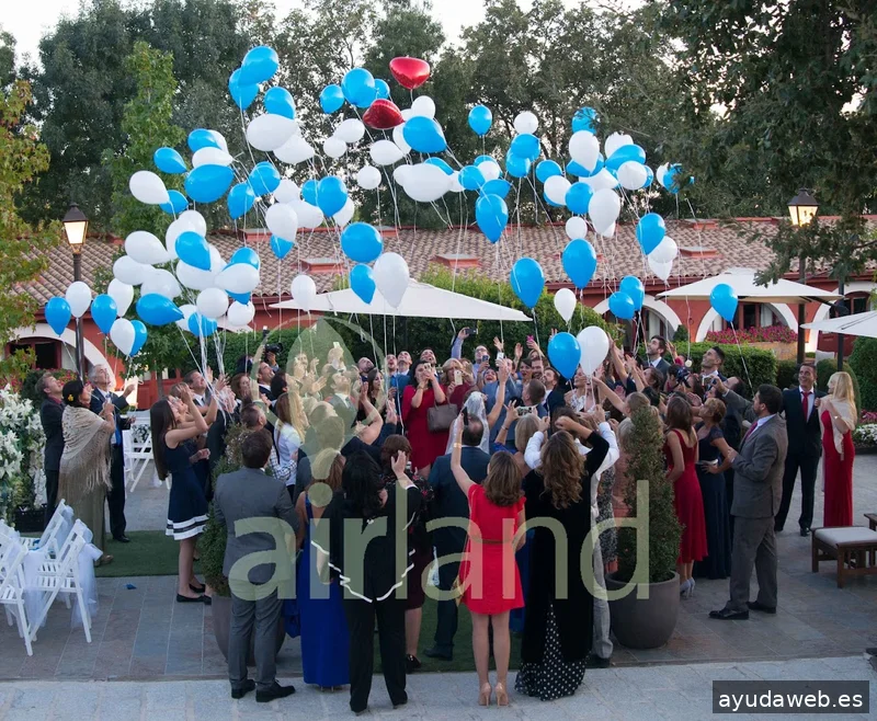 Airlandglobos