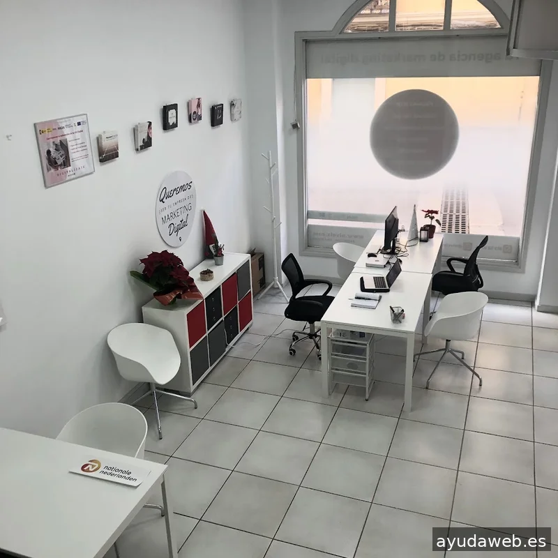 Nivel Z - Diseño Web, Tienda Online, SEO, SEM y Redes Sociales