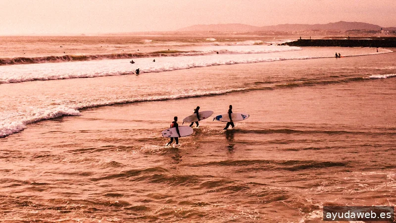 CREATIVOS EN LA PLAYA