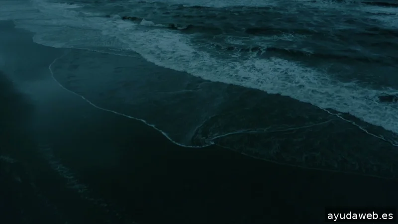 CREATIVOS EN LA PLAYA