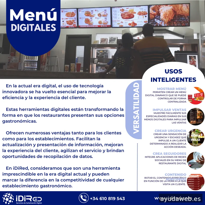 iDiRed - Soluciones Tecnológicas