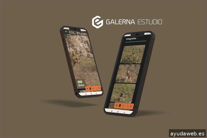 Galerna Estudio