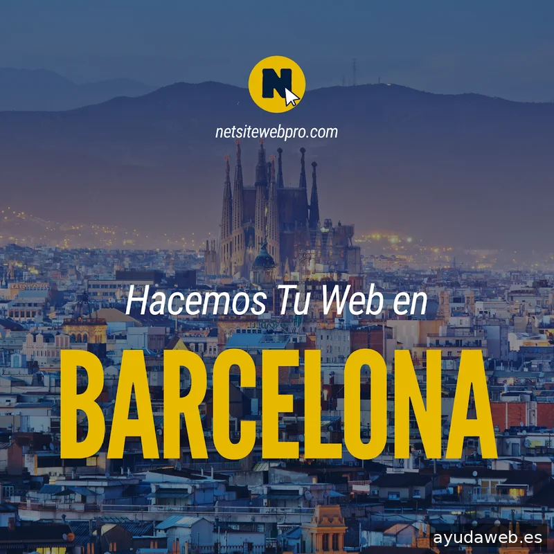 NetsiteWebPro