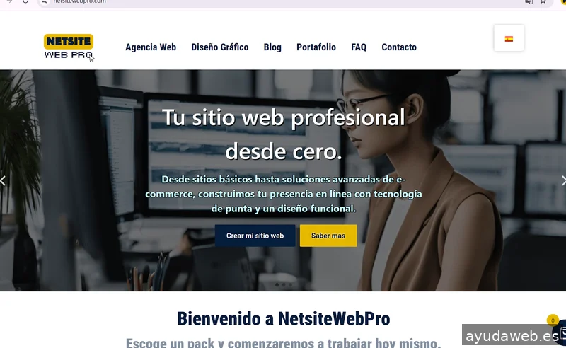 NetsiteWebPro