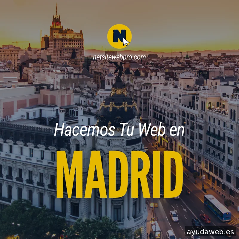 NetsiteWebPro