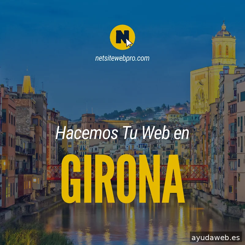 NetsiteWebPro