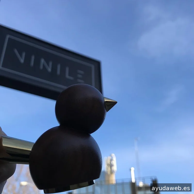 VINILE Audiovisual S.L