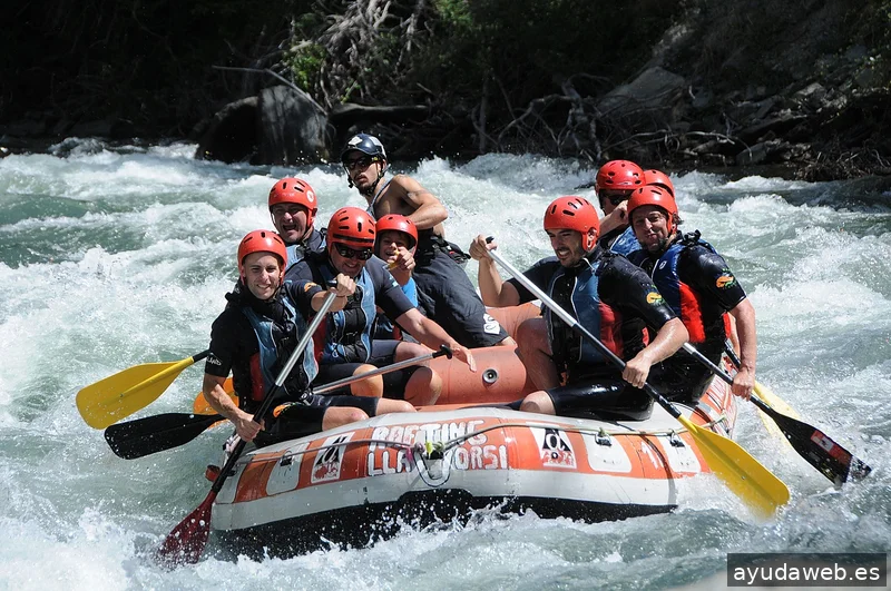 vistgo I brand implementation experts