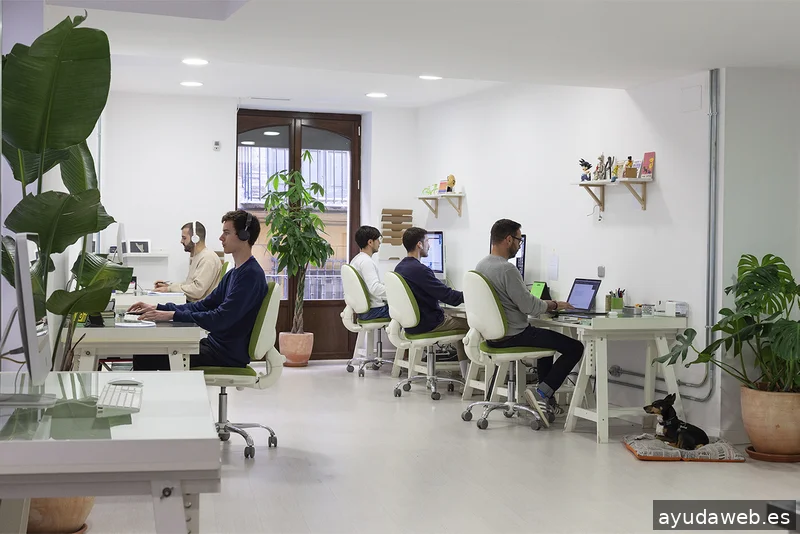 Pixelarte Creative Studio