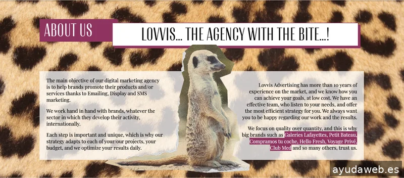 Lovvis Advertising