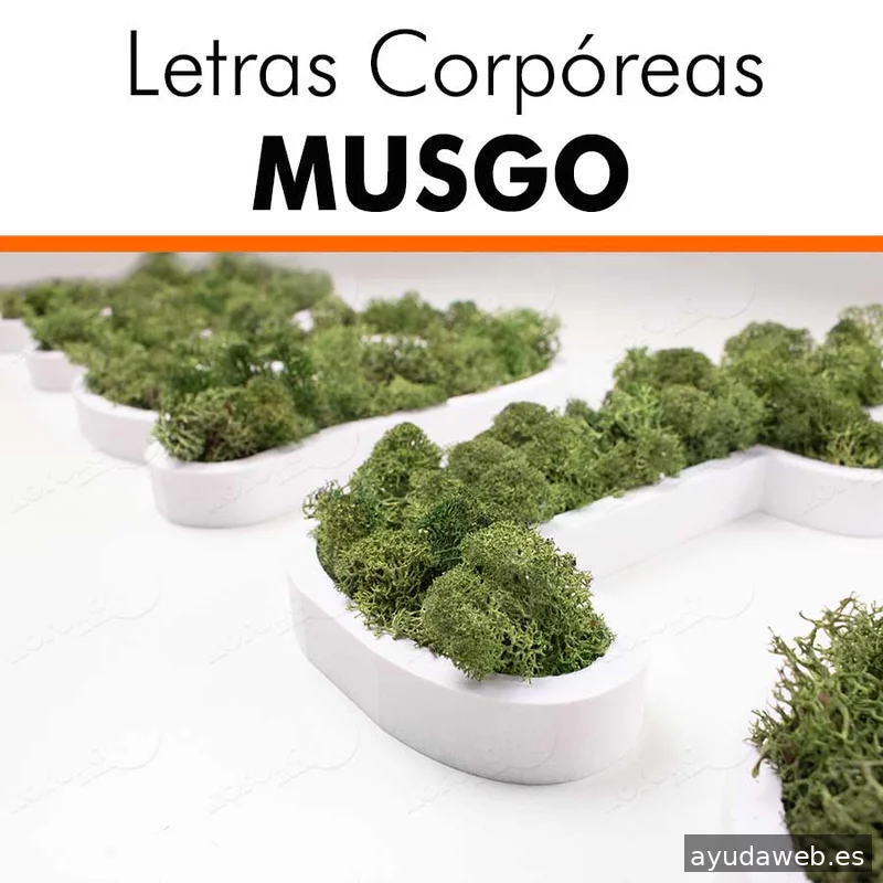 Rótulos Levante