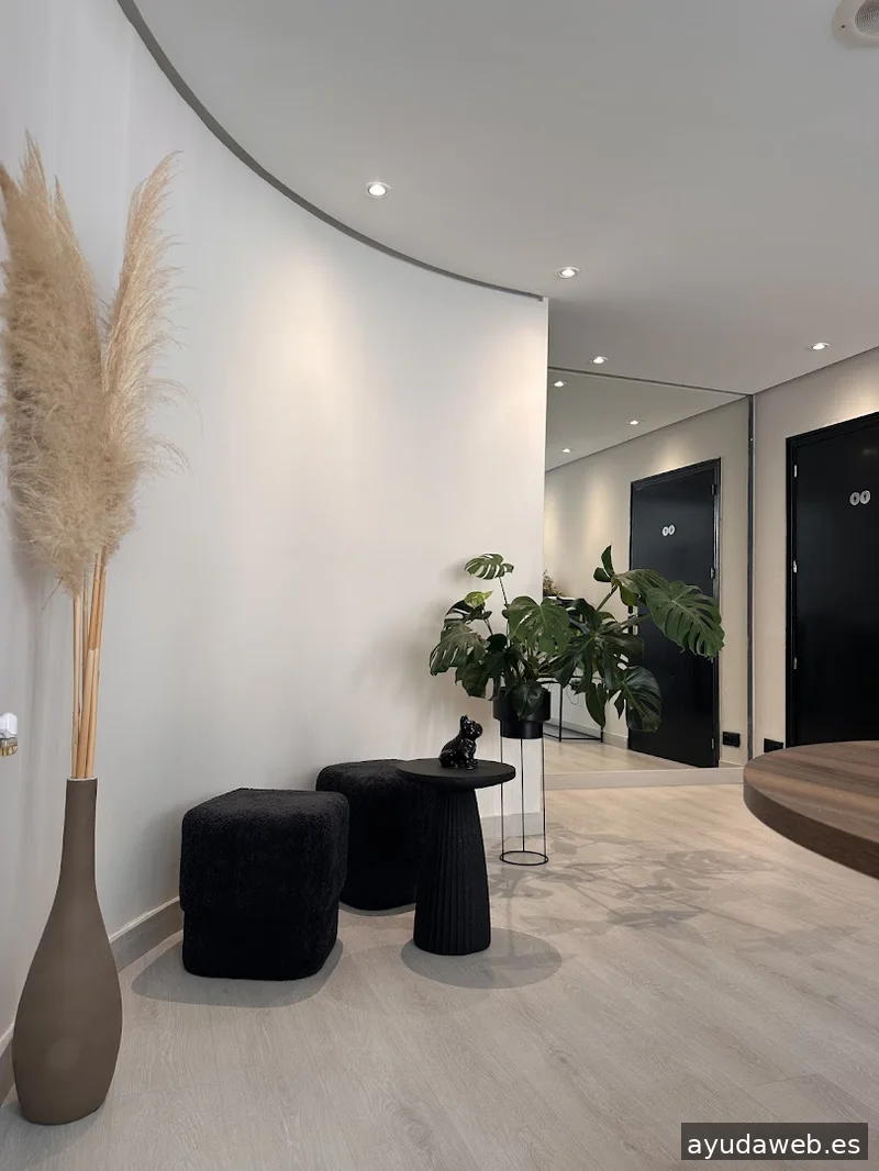 Aurora Vidal Studio