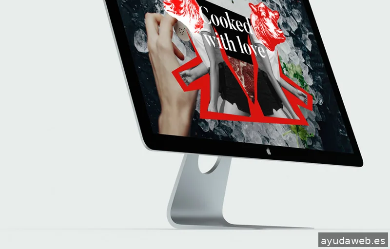 ANNA ROMAN Diseñadora gráfica freelance